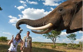 iskierka_wystawa_13n